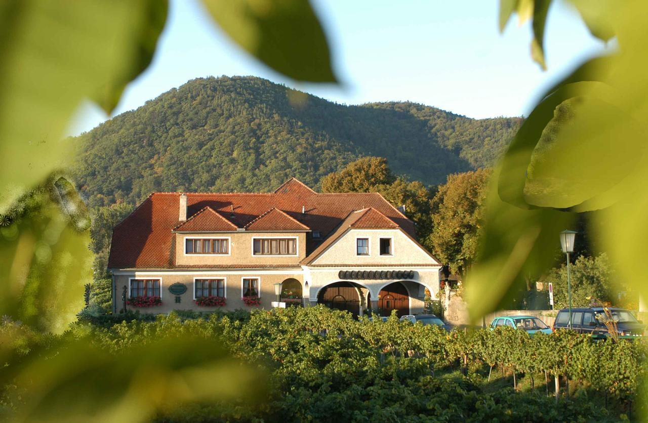 Weingut-Pension Stockingerhof Дюрнштайн Экстерьер фото